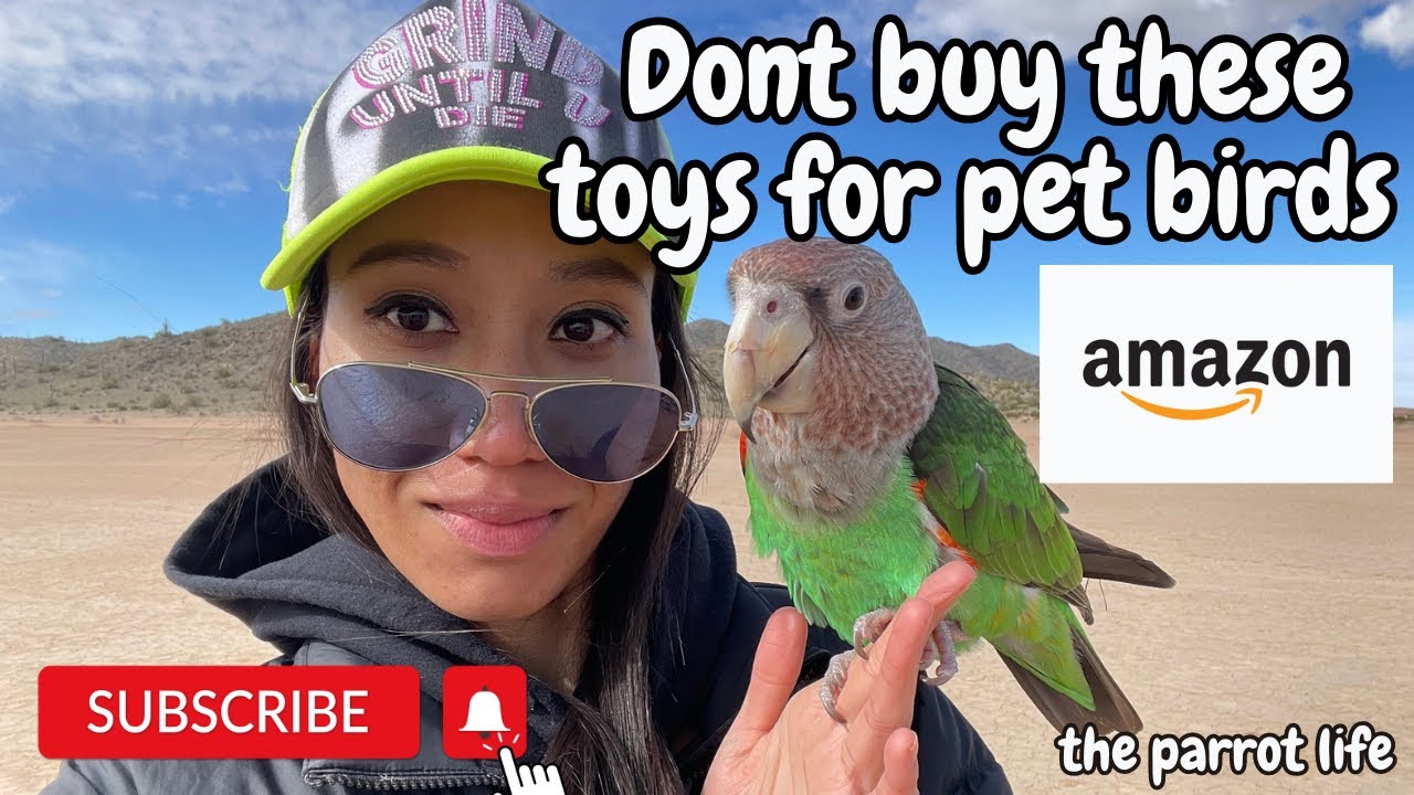 DONT BUY THESE TOYS FOR PET BIRDS ON AMAZON 🦜 YouTube