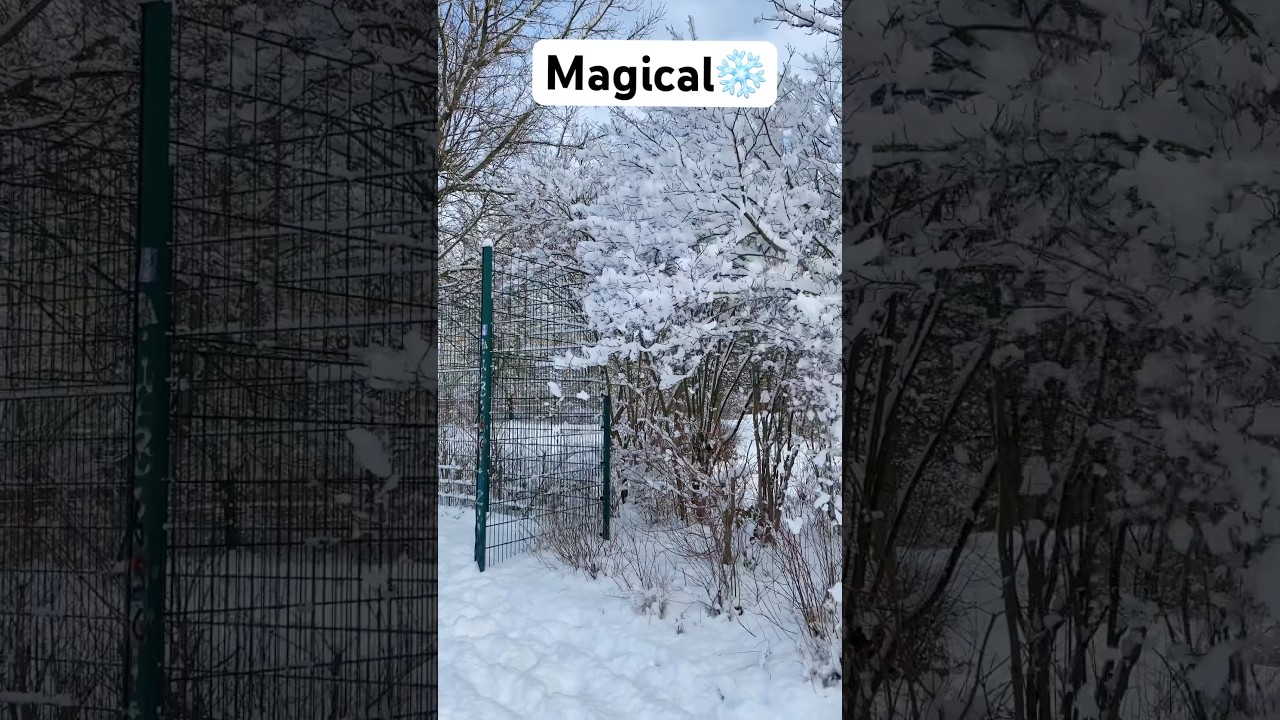 Berlin’s Winter Magic! ❄️