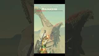 Petit Moldarquor Des Familles