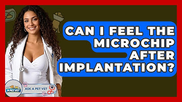 Can I Feel The Microchip After Implantation? - Ask A Pet Vet