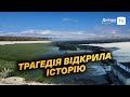 🌿 Трава та метрові дерева: як змінилося Каховське водосховище