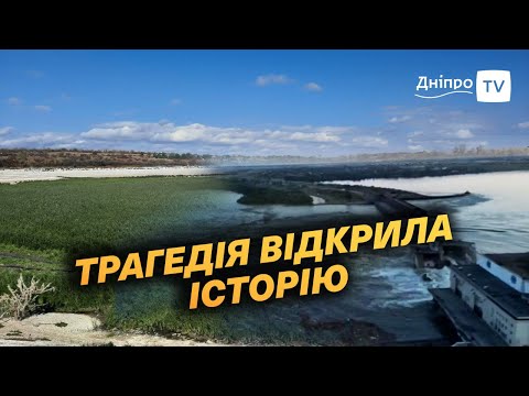 🌿 Трава та метрові дерева: як змінилося Каховське водосховище