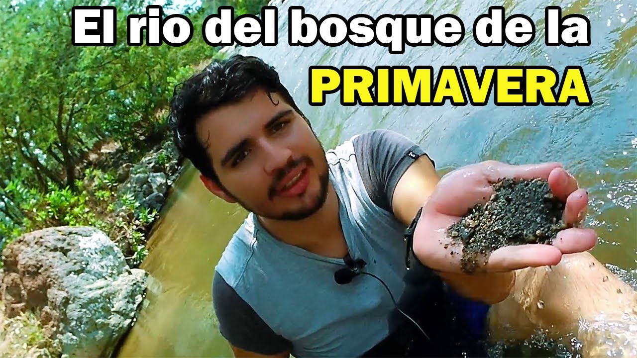 Actividades, precios y cómo llegar al El Río caliente del Bosque de la primavera