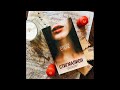 Аудиокнига &quot;Стигмалион&quot; Кристины Старк. 7 - Охотники за правдой