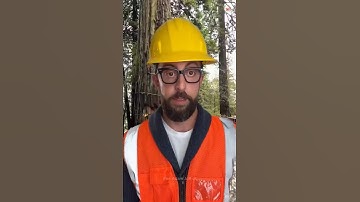 Engineer Top - 26 #adamrose #bouw #techniek #werknemers #momenten #korte broek