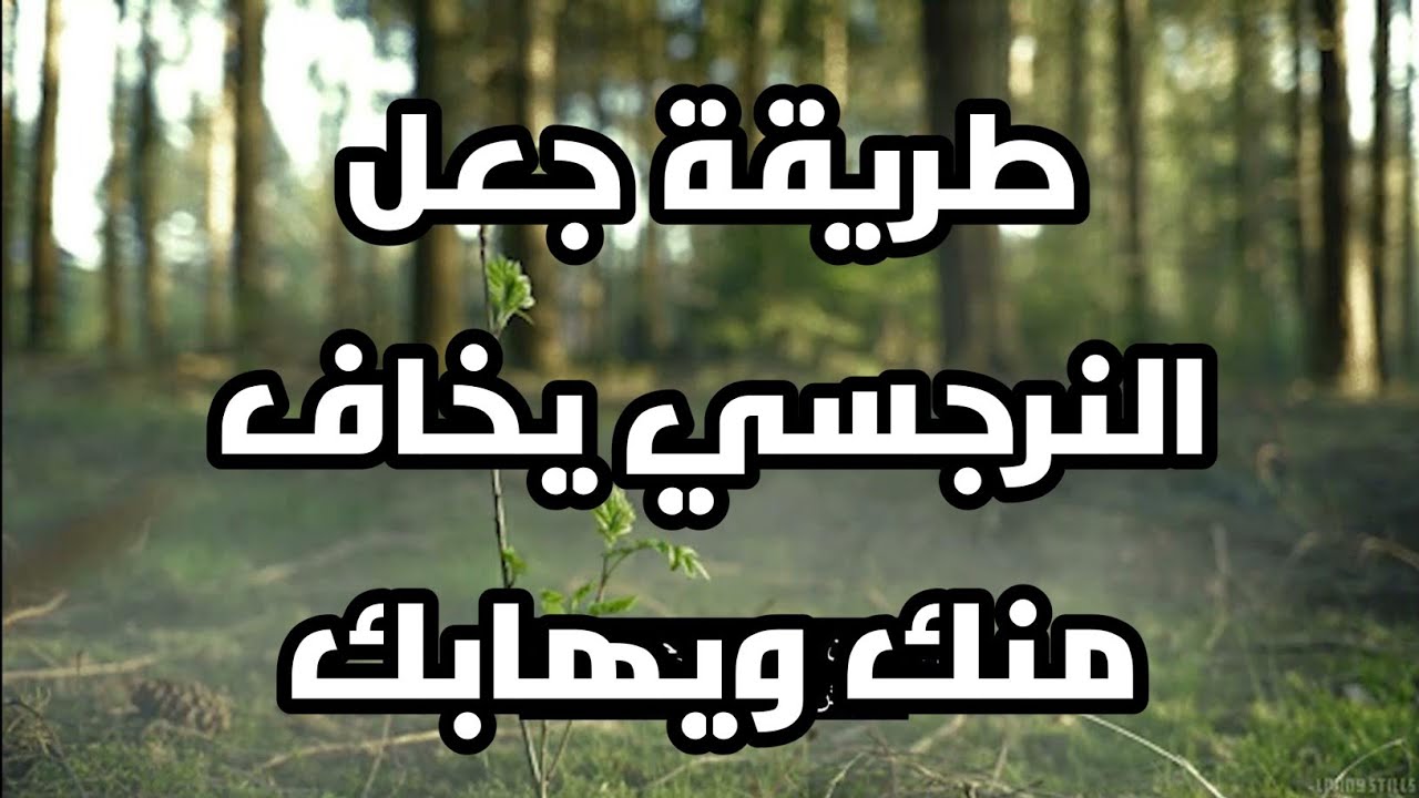 طريقة جعل النرجسي يخاف منك ويهابك