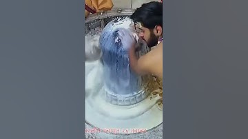 Laagi Lagan Shankara #shiv #bholenath #shorts #ujjain #Shambhu #trending #mahadev #mahakal #ytshorts