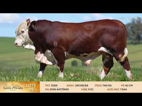 LOTE 05 - D124 | LEILÃO SELEÇÃO SANTA PRENDA VIRTUAL