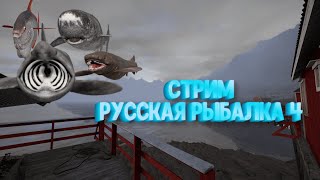 Стрим, ловим с места, Русская Рыбалка 4 / Russian Fishing 4 #rf4  #рр4
