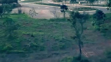 QAV250 - Flips and Training