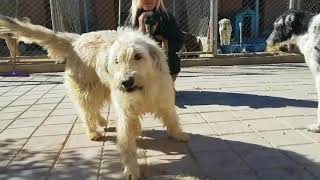 Umut Hep Vardır Yeter Ki Pes Etme