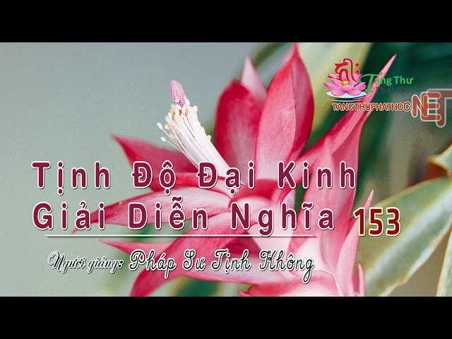 Tịnh Độ Đại Kinh Giải Diễn Nghĩa - 153