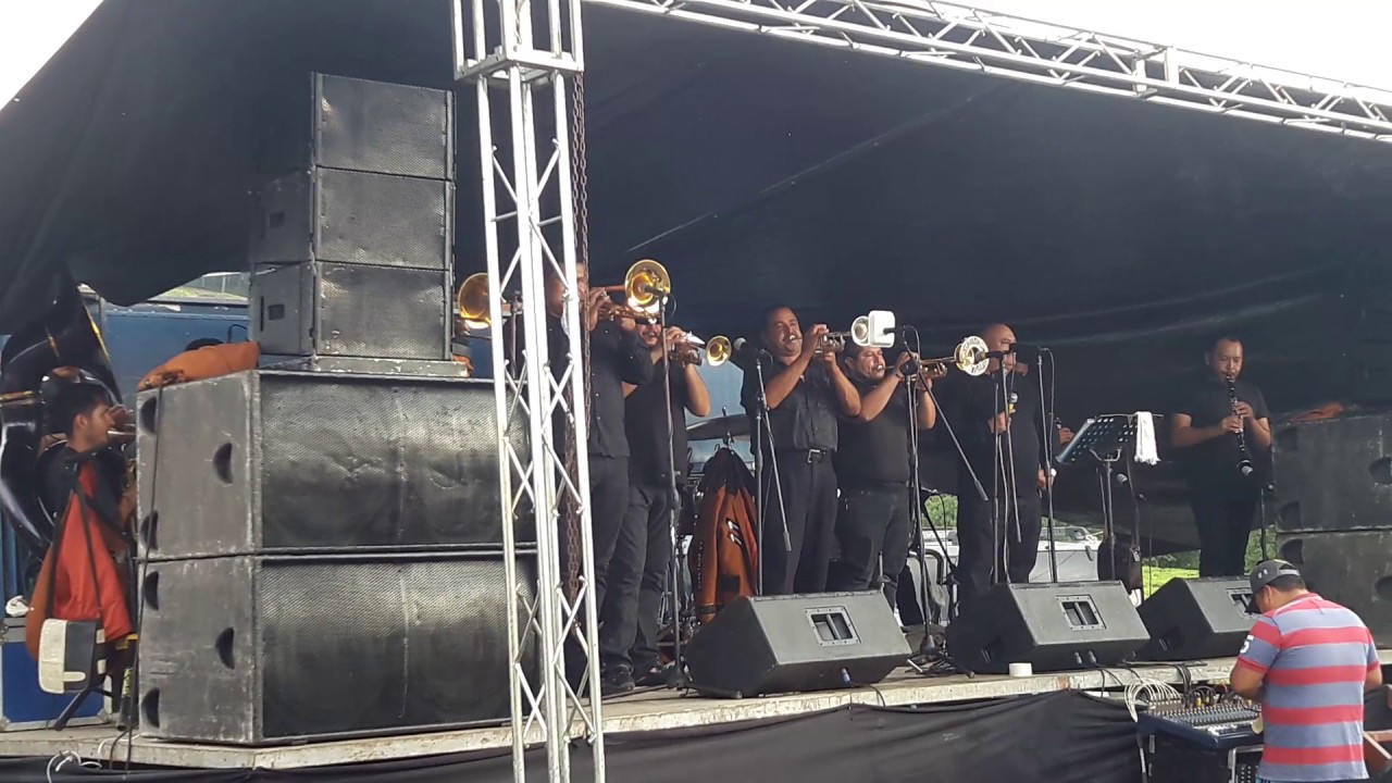 BANDA FLOR DE CAFE de tepic nayarit...(palillos chinos