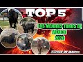 !!TOP 5 MEJORES TOROS DE MÉXICO 2020!! Los destructores de memo Ocampo 2020