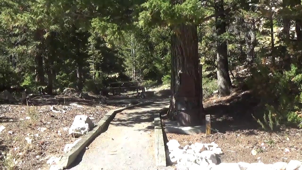 A Campground near Lovell, WY. A Guide to Lesser Known Campgrounds in the American West S06E206