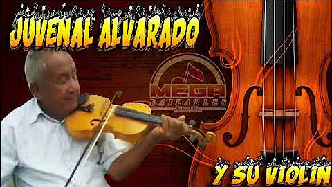 JUVENAL ALVARADO QUINCEAERA