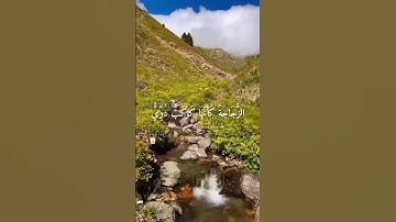 اللَّهُ نُورُ السَّمَاوَاتِ وَالْأَرْضِ ۚ | سورة النور | محمد صديق المنشاوي