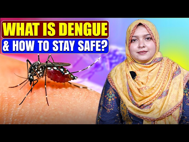 What is Dengue & How to Stay Safe? | Dr. Maha | Clip