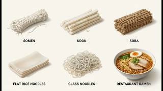 Every Noodle Explained