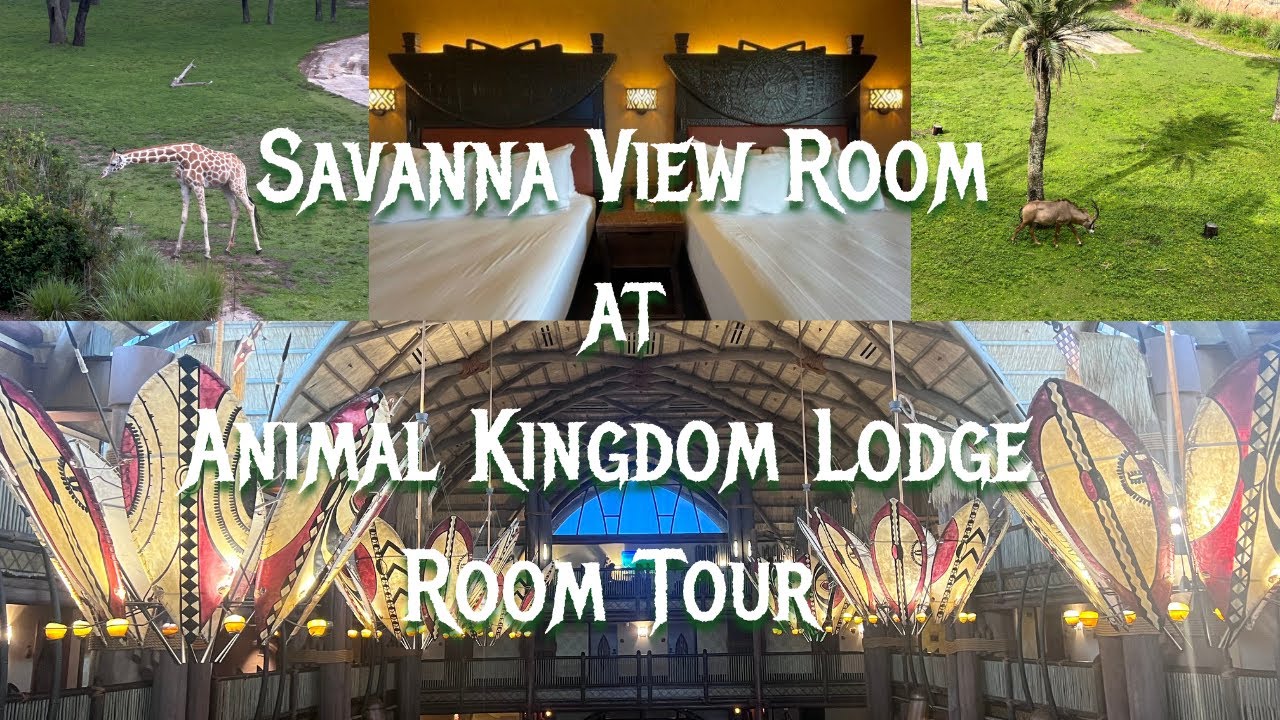 Disney's Animal Kingdom Lodge Savanna View Room Tour Kilimanjaro