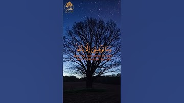 قرآن كريم | ما تيسر من سورة هود بصوت جميل وهادئ | الشيخ القارئ وديع اليمني