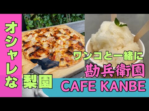 『日本テリア』のつむぎも大好き!インスタ映え間違いなしのお洒落な梨園『勘兵衛園 / CAFE KANBE』