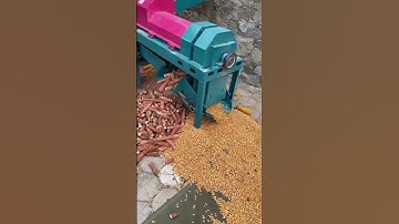 corn maize sheller machine #shorts