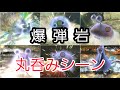 【ピクミン3】原生生物が爆弾岩を食べる瞬間