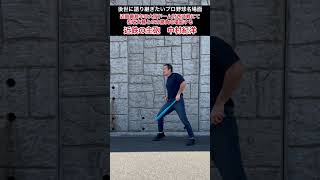 モノマネしやすいプロ野球選手。バッティングフォームのモノマネまとめ