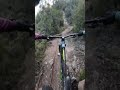 🦡 EL TOIXÓ 🦡 un dels bons per Maçanet de la Selva!😍😁✊#haibikelyke #fazuaride60 #bufalacabra #mtb