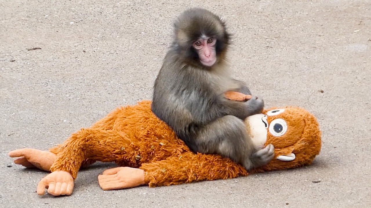 Punch takes Mom home… but faces a big problem at the end 😭