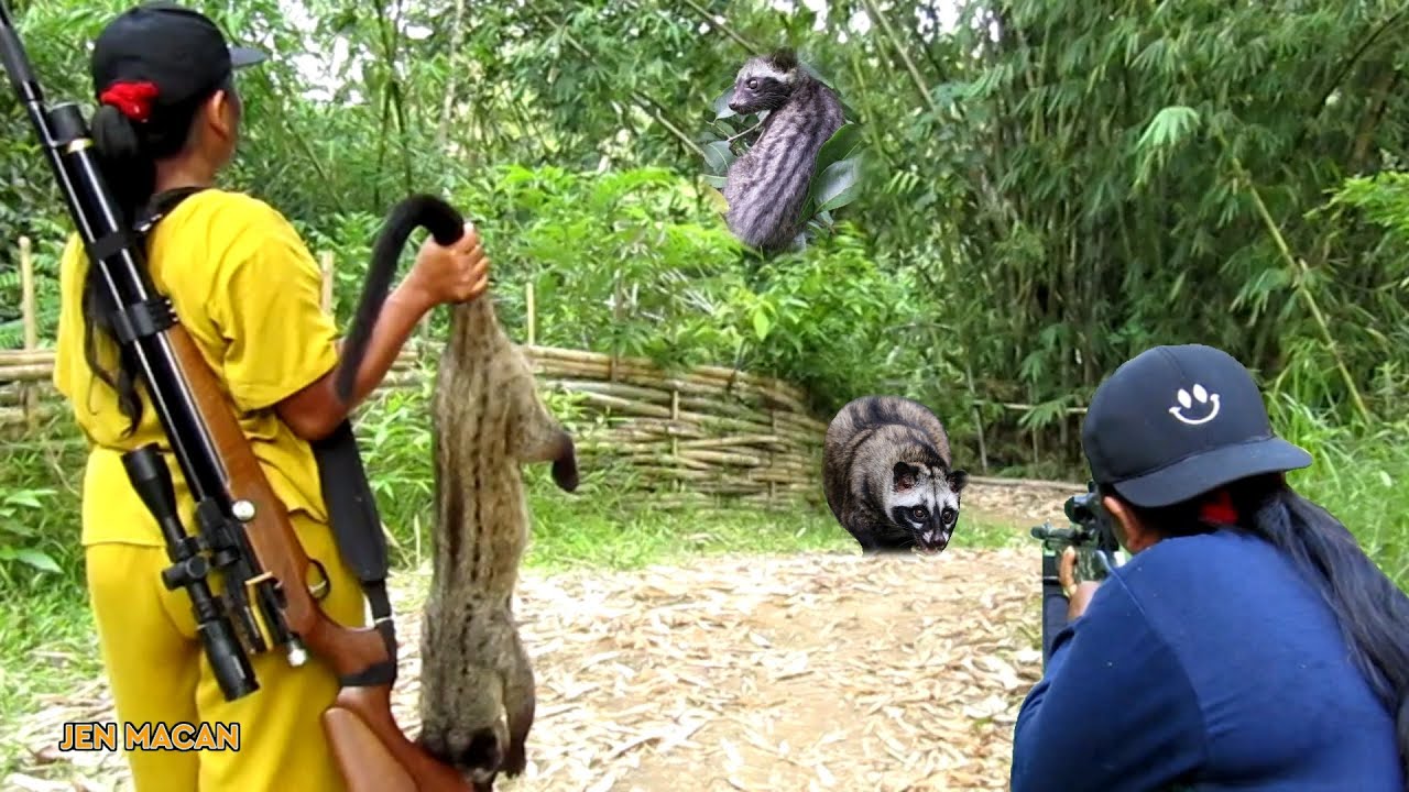 GILA‼️DI TEMBAK LAGI MUSANG MOSTER YANG DI CURIGAI sniper jitu cewek terbaik