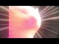 The secret power of catJAM