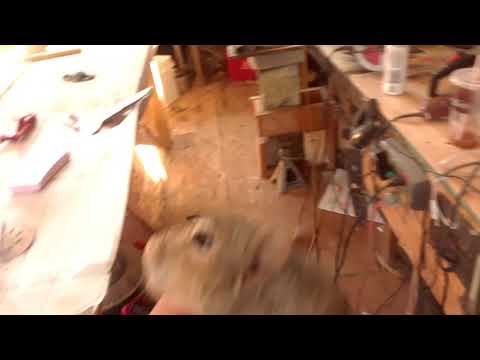 SQUIRREL HEAD MOUNT FIRST TRY