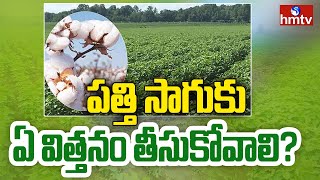 పత్తి సాగుకు ఏ విత్తనం తీసుకోవాలి? | Cotton Crop Farming | hmtv Agri
