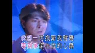 LauTakWa's 1990's hits 刘德华   再吻我吧