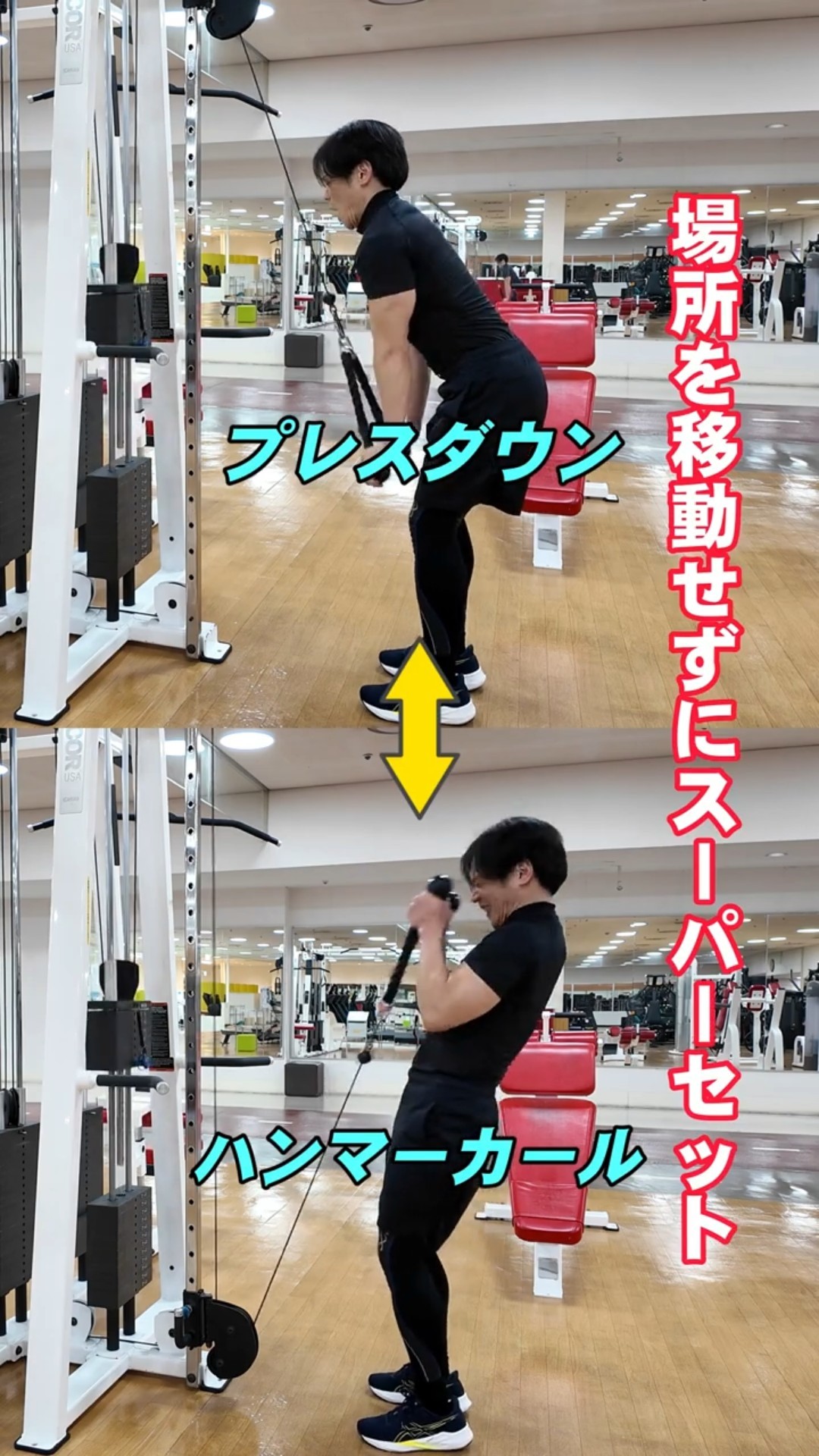 Superset your arms without moving! (Cable pressdowns and hammer