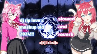 (Dj lokal) dj rip love x mashup old 2024 new Kane slowed and reverb‼️#djviral #dj 