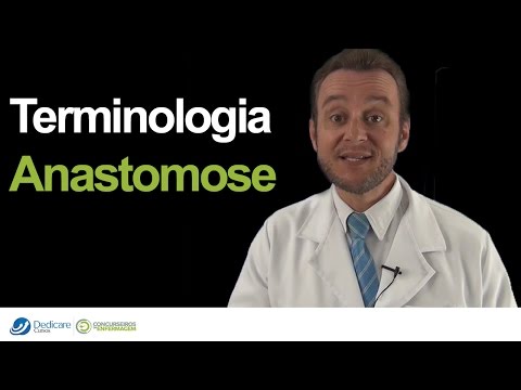 Vídeo: Por que as anastomoses vasculares são importantes?