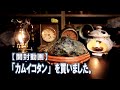 神居古潭石(カムイコタン)を買いました。