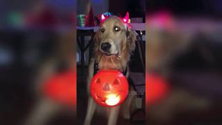 Смешные приколы 2018 💥💥💥...
