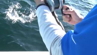 Monster Striper - Block Island - Rhode Island