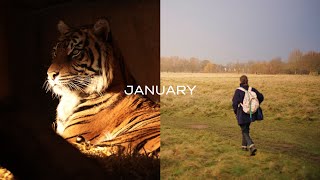 January vlog. London Zoo, new Leica camera and wildlife photography with Canon