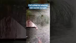 Relaxing Rain Sounds on a Lake