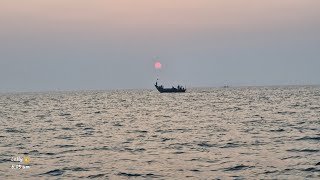 "Fishing in the Mighty Bay of Bengal 🌊🐟"