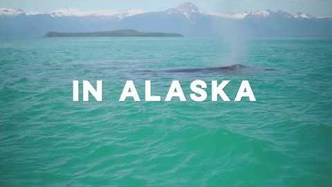 Alaska Seaplanes - Delivering a Way of Life