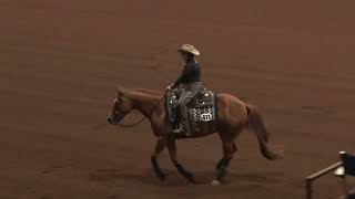 240515 Novice Non Pro Allison Lash on SHR Itsa Sugar Rose