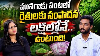 మునగాకు తో లక్షల్లో ఆదాయం ! | Moringa Powder Business Telugu | Earn ₹1,00,000+ | SumanTV Education
