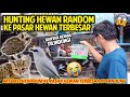 HUNTING HEWAN RANDOM KE PASAR HEWAN TERBESAR DI BANDUNG! BANYAK HEWAN LANGKA DILINDUNGI!