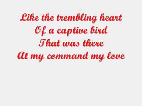 The first time ever I saw your face with lyrics